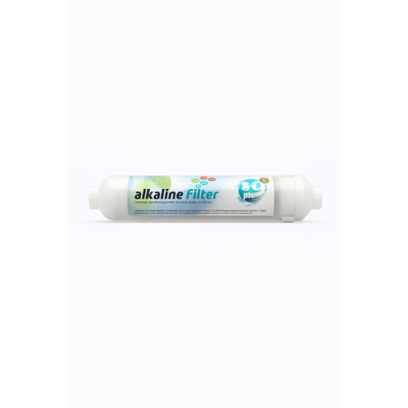 2"Filtru Alcalin 1/4"